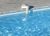 Allarmi da piscina 