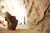 Arrampicata indoor: pareti...