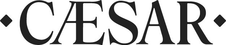 CERAMICHE CAESAR logo