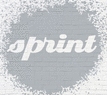 Mobil Sprint Srl