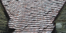 tegola romana in laterizio ANTIQUE Ludowici