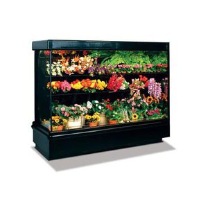 vetrina refrigerata con scaffali / per negozio