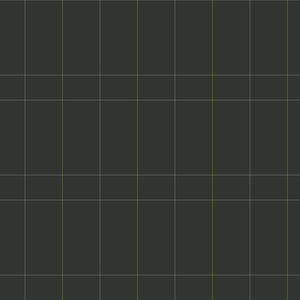 carte da parati moderne / motivo geometrico