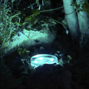 luce da incasso / LED RGBW / tonda / da esterno