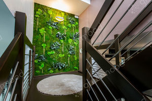 parete vegetale stabilizzata / da interno