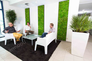 parete vegetale stabilizzata / da interno