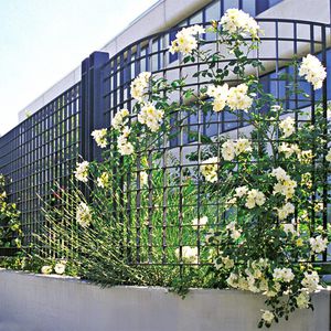 recinzione per spazi verdi / in griglia / in acciaio galvanizzato / ad alta sicurezza