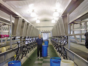 copertura in lastra in PVC / ondulata