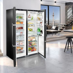 frigorifero a 2 porte / grigio / ecologico