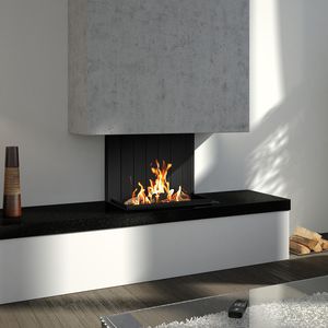 camino a legno / a gas / multicombustibile / moderno
