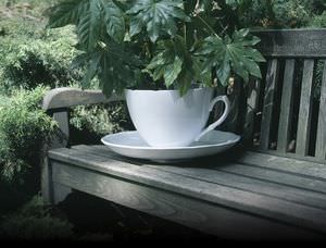 vaso da giardino in terracotta