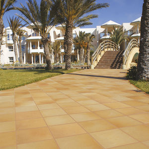 piastrella per bagnasciuga di piscina / da giardino / per piscina / da pavimento