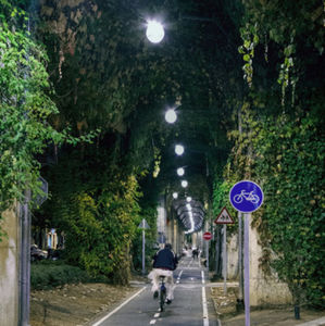 illuminazione su cavi LED / altre forme / in ghisa di alluminio / per uso esterno