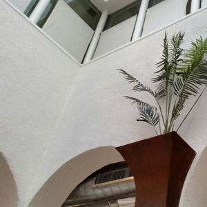 pittura alla calce / di finitura / per soffitto / per muro