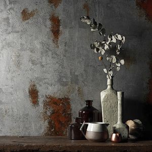 pittura decorativa / per muro / per interni / acrilica