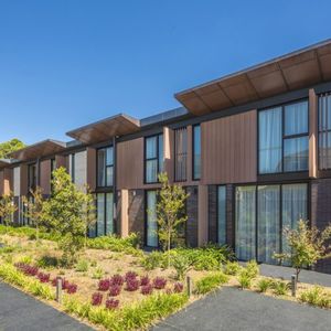 rivestimento di facciata in WPC / opaco / a doghe / aspetto legno