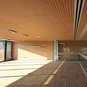 pannello acustico per interni / in legno / perforato / contract