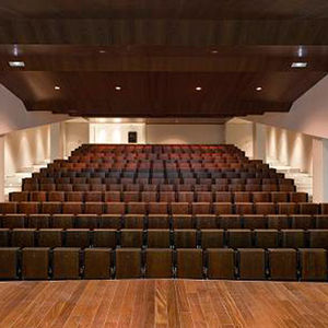 pannello acustico per interni / in legno / per d'auditorium / contract