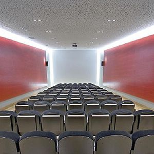 pannello acustico per interni / in legno / perforato / per d'auditorium