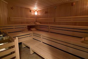 sauna finlandese / per uso residenziale