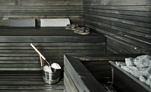 sauna finlandese / professionale / per interni