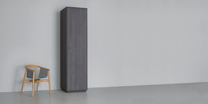 armadio moderno / in legno / con ante battenti