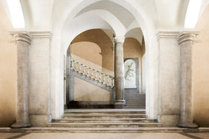 carte da parati classiche / in vinile / barocche / a effetto dimensionale
