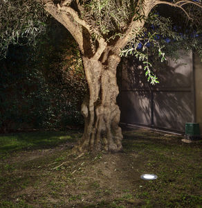 luce da incasso a pavimento / LED / tonda / da giardino