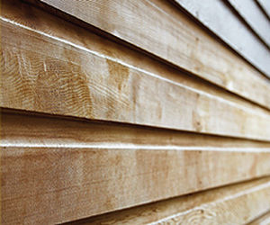 rivestimento di facciata in legno / con scanalature / a doghe