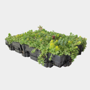 kit per giardino pensile