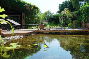piscina interrata / in pietra / naturale / da esterno