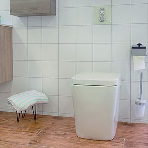 sciacquone pneumatico