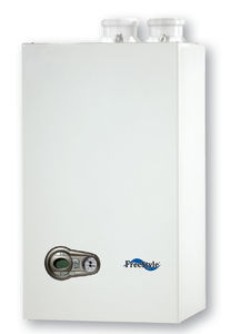 caldaia a gas / da parete / residenziale / professionale