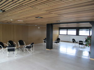 pannello acustico per soffitto / in legno / per d'auditorium / contract