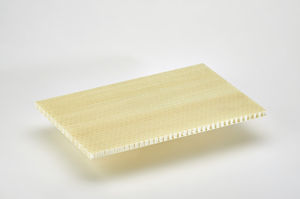 pannello sandwich per coperture / per facciata / per muro / per parete