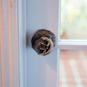 pomello per porta moderno / in bronzo