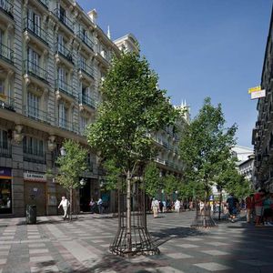 griglia di protezione per alberi in acciaio galvanizzato