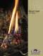 Direct Vent Gas Fireplaces
