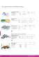 2011 INTERNATIONAL CATALOG - ITALIAN 