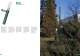 Lighting systems for outdoor