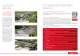 Finestre & Porte 2008/2009 - Internorm