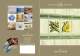 4" Tiles- La Belle Collection Full Catalogue