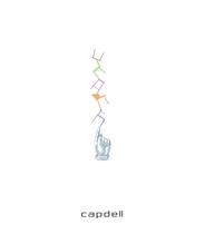 CATALOGUE 3