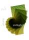 Catalogo Young - FONTANOT - ALBINI & FONTANOT