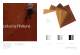 Catalogo Young - FONTANOT - ALBINI & FONTANOT