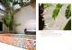 My Images - Trend Group Spa