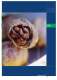 Catalogo TVCC - Comelit