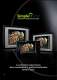 Automazione Domestica SimpleHome - Comelit
