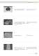 CATALOGO MASPE 2010 PARTE 3