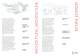 Brochure 2011